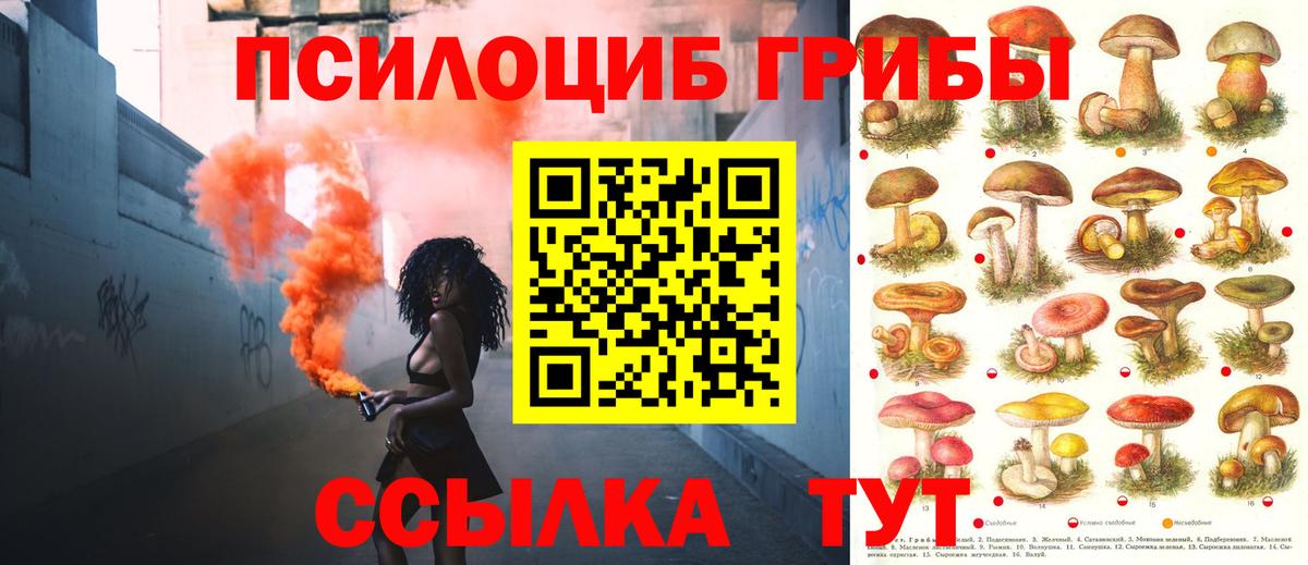 Галлюциногенные грибы MAGIC MUSHROOMS  Вход с VPN  Грозный 