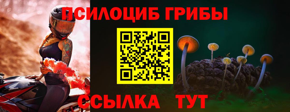 Галлюциногенные грибы MAGIC MUSHROOMS Грозный